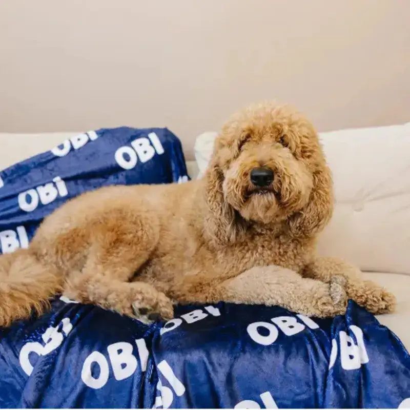 Un Doodle couleur crème allongé sur des plaids personnalisés bleus marine empilés avec "OBI" en blanc répété